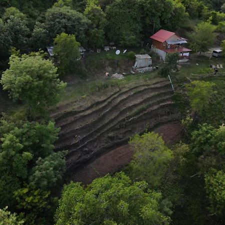 Tsanava'S Cottage In Sighnaghi Exterior foto
